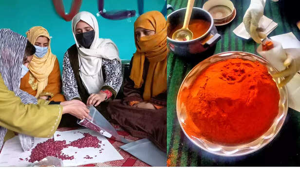 365228-jammu-kashmir-youth-honey-production-saffron-horticulture-entrepreneur-startup-1