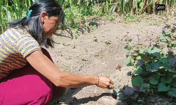 364516-untitled-design-11