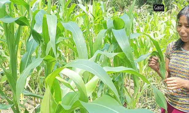 364528-untitled-design-16