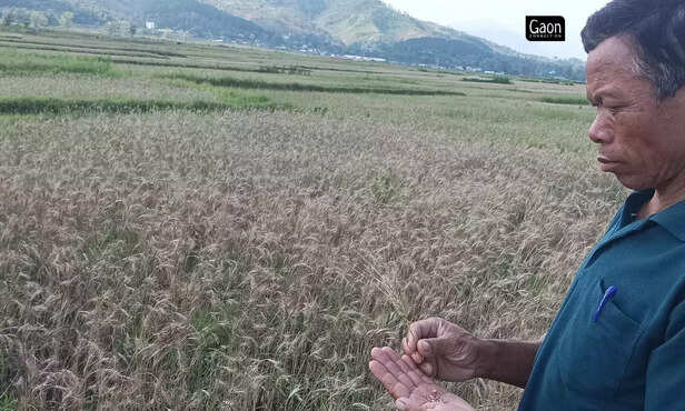 364532-untitled-design-13