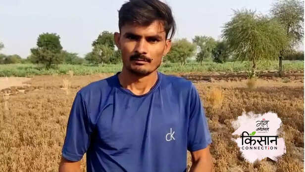 364131-cumin-crop-rajasthan-cold-wave-heatwave-hailstorm-isabgol-castor-seeds-jeera-farmers-1