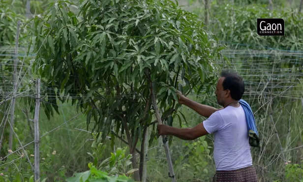 363315-untitled-design-10