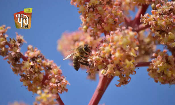 370286-hero-image-60