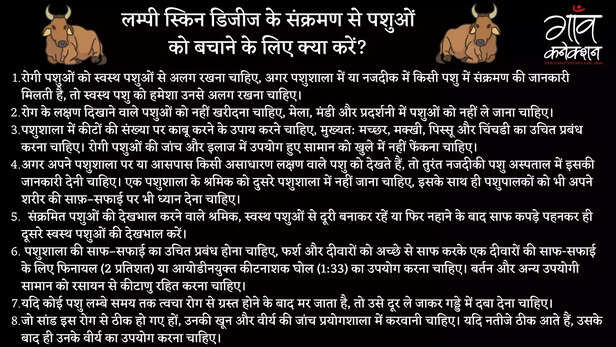 361131-360757-lumpy-skin-disease-outbreak-rajasthan-gujarat-milk-production-cattle-buffalo-treatment-vaccine-1