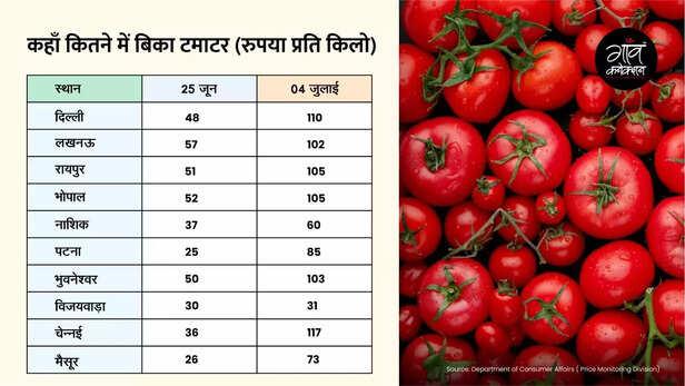 366361-tomato-price-hike-tomato-cultivation-kitchen-garden-terrace-garden-tomato-variety