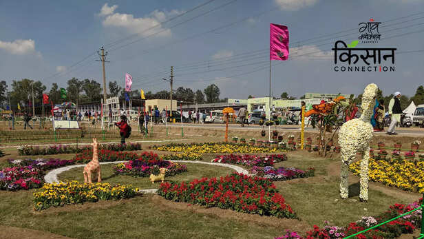 363392-gaon-moment-2023-02-04t180700879