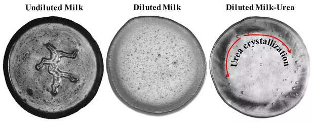 356273-milk-adulteration-test-milk-production-india-urea-oil-detergent-in-milk-iisc-gaon-connecton-1