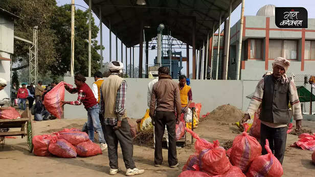 362644-cimap-kisan-mela-2023-csir-medicinal-aromatic-plants-cultivation-agro-technology