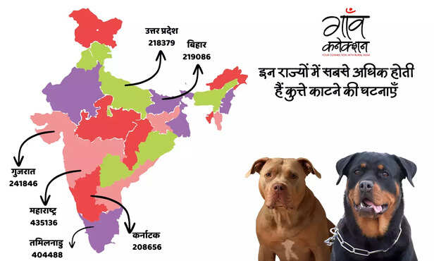 370651-dog-breeds-banned-in-india-latest-news-pitbulls-rottweiler-bulldog-2