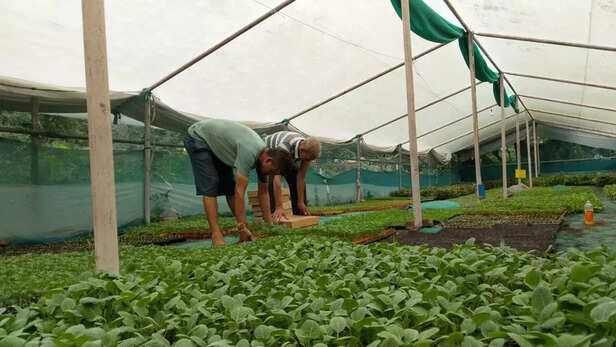 357181-iari-fellow-innovative-farmer-award-2021-pusa-institute-best-farmers-awards-application-1