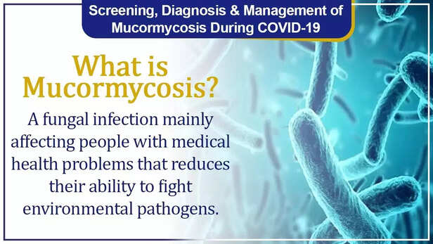 353167-story-1slide-1-1