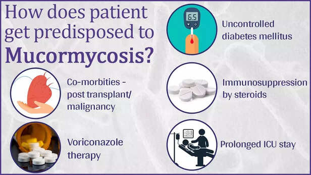 353168-story-1slide-2