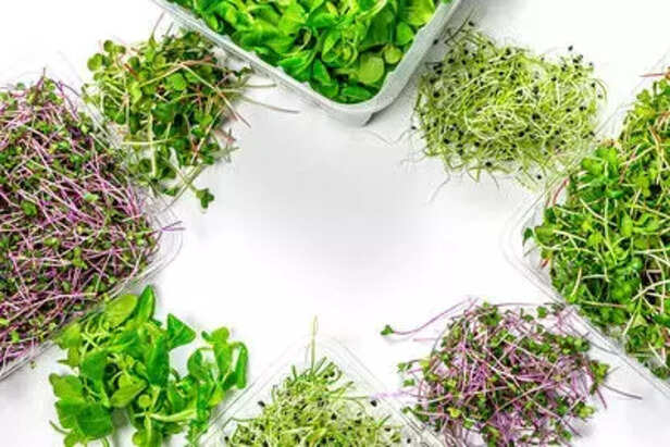 344909-488011373383c80428c9ew