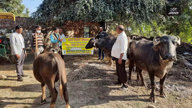 357316-krishi-vigyan-kendra-working-importance-farming-agriculture-animal-husbandry-agri-technology-7