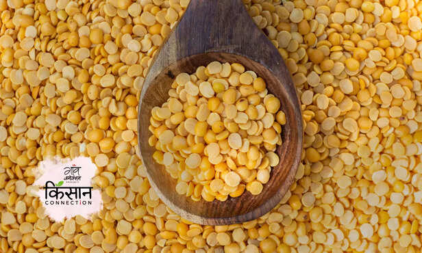 364795-central-government-various-initiatives-monitor-stocks-tur-urad-pulses-storage-2