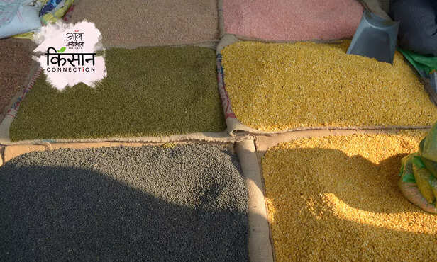 364796-central-government-various-initiatives-monitor-stocks-tur-urad-pulses-storage-3