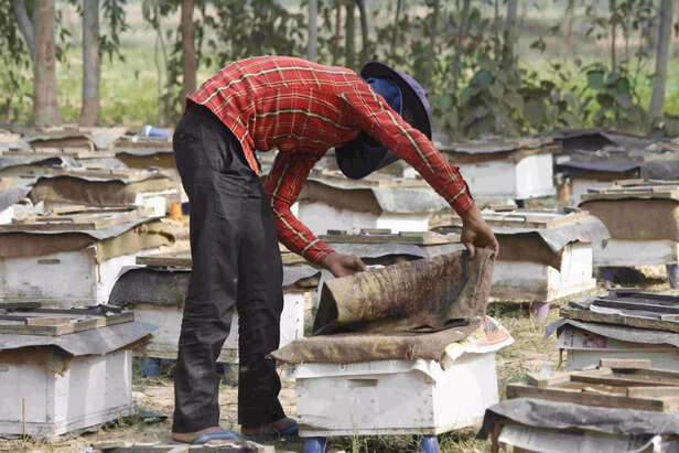 352415-madhu-kranti-portal-gaon-connection-2-scaled