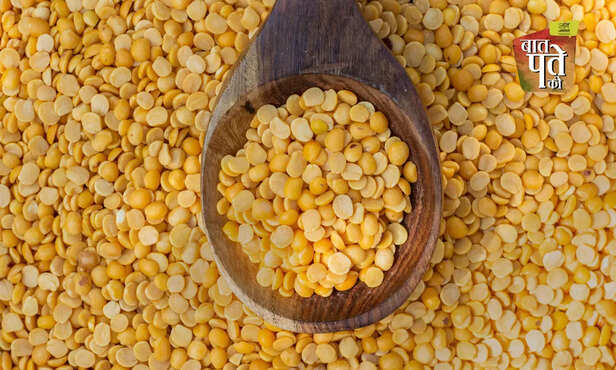 370440-pulses-in-india-protein-pigeon-peas-gram-horse-gram-green-gram-different-varieties-of-pulses-health-benefits-7