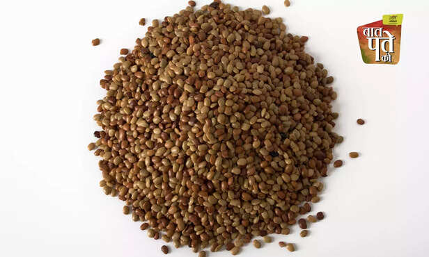 370443-pulses-in-india-protein-pigeon-peas-gram-horse-gram-green-gram-different-varieties-of-pulses-health-benefits-4