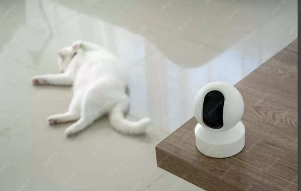 Dreaming big, even under watchful eye