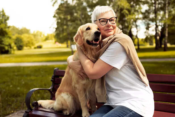 senior dog