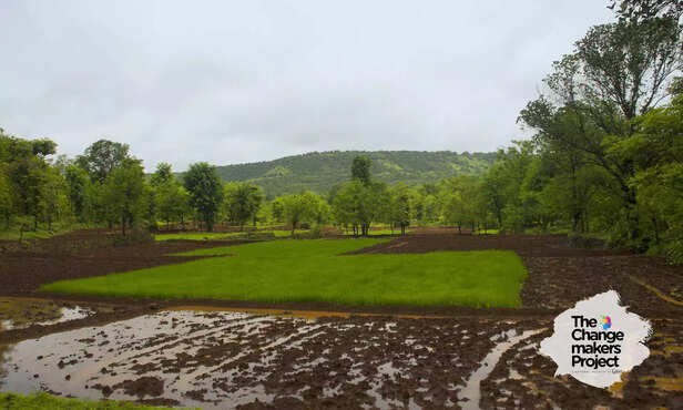 369678-hero-image-26