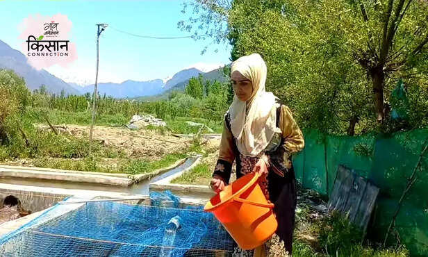 368844-trout-fish-farming-young-women-farmers-jammu-kashmir-trout-fish-farming-profitable-business-3