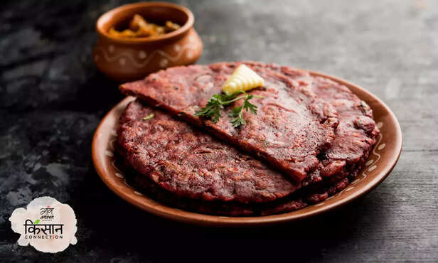 368589-shri-anna-festival-uttar-pradesh-millet-food-festival-millet-farming-2