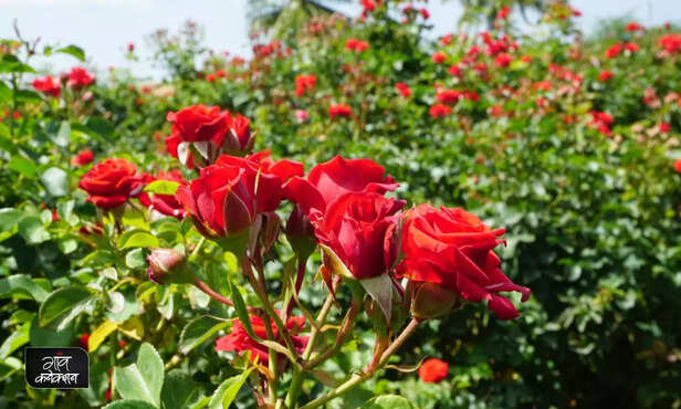 369784-hero-image-12