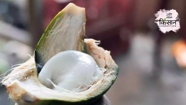 366809-gaon-moment-27