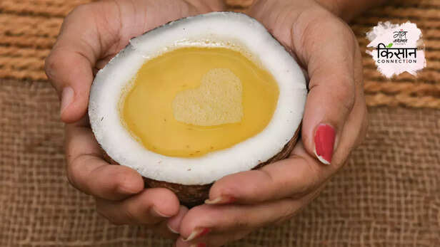 366810-subhash-palekar-natural-farming-coconut-farming-palekar-model-prakritik-kheti-2