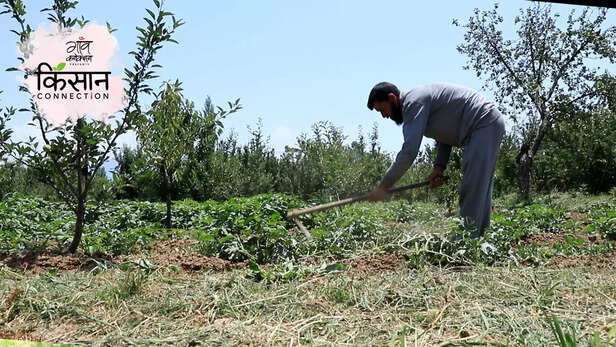 363731-horticulture-jammu-kashmir-kisan-credit-card-scheme-for-irrigation-marketing-climate-change-3