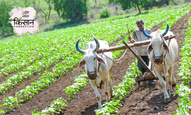 366718-pradhan-mantri-fasal-bima-yojana-crop-insurance-pmfby-online-apply-2