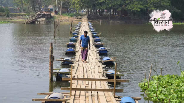 366038-bangladesh-coastal-farmers-saline-lands-fertile-fields-floating-farm-10