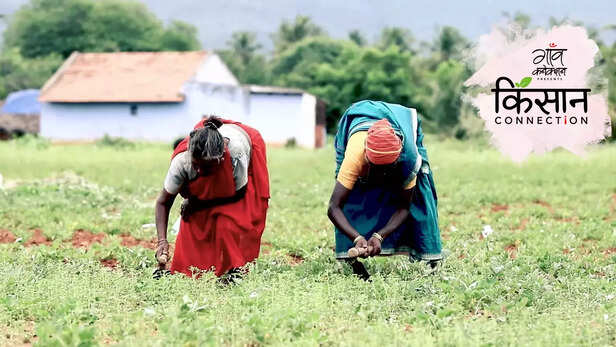 363190-farmers-producer-company-vkjpcl-salem-tamilnadu-women-farmers-food-processing-3