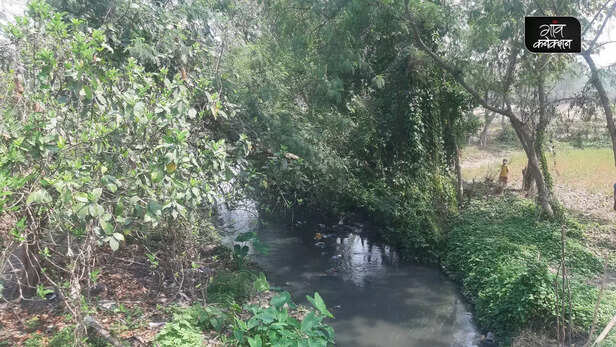 365740-rainwater-harvesting-groundwater-recharge-west-singhbhum-jharkhand-drinking-water-irrigation-farming-6