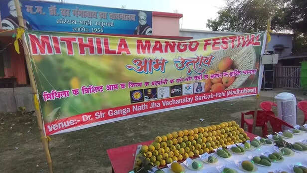 365999-mithila-mango-festival-mango-varieties-of-bihar-special-mango-gulab-khas-bahuasin-bhog-pahun-padauna-2