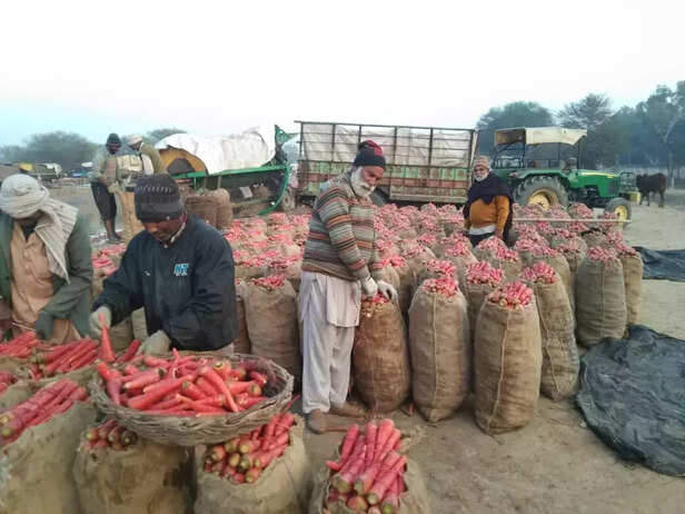 343586-img-20200123-wa0005