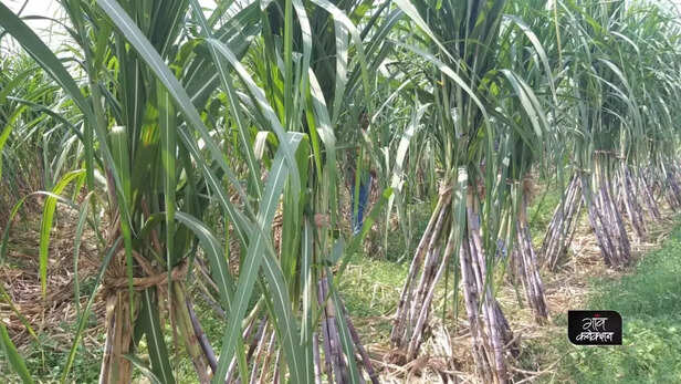 357661-add-a-heading-2022-02-04t144329359