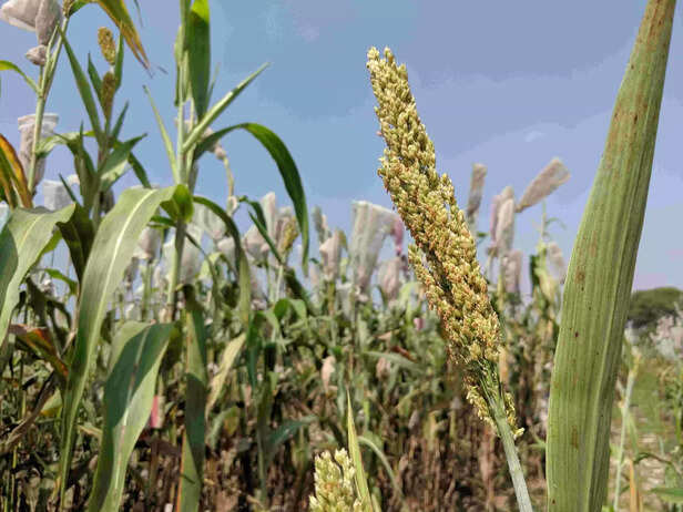 343864-img20191106225127-scaled