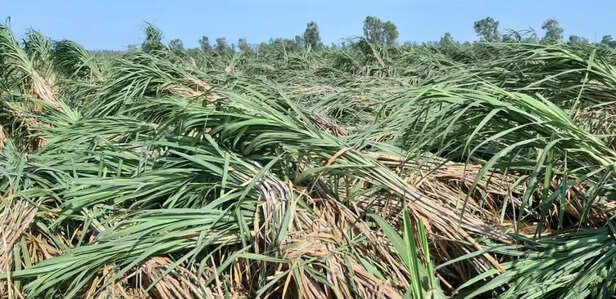 340177-fb36408c-6d98-43e8-a724-8620a6cfba06