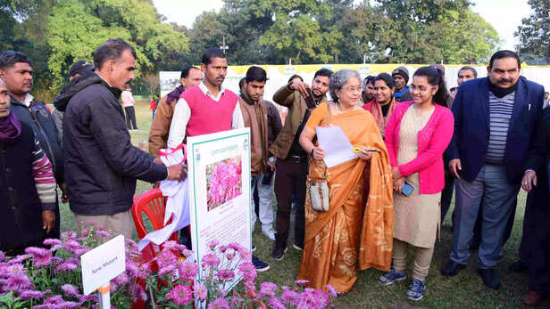 343460-dsc3249-scaled