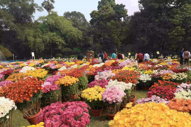 343459-vr2a7112-scaled