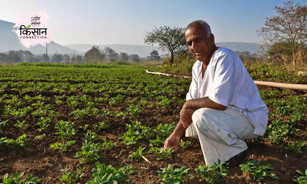 369573-soil-day-soil-testing-micronutrient-chemical-fertilizers-organic-farming-2