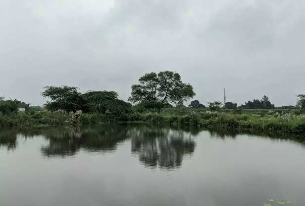 358837-important-work-in-fisheries-fish-farmers-april-month-harvesting-marketing-of-old-fish-stock-2