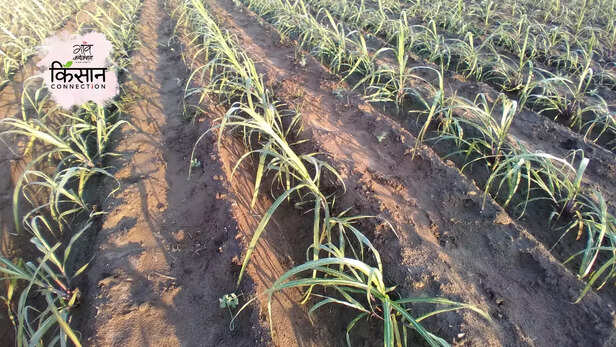 367473-gaon-moment-33