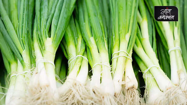 361880-agriculture-advisory-paddy-cultivation-rabi-crops-wheat-mustard-gram-pea-carrot-spring-onion-cultivation-guide-information-1