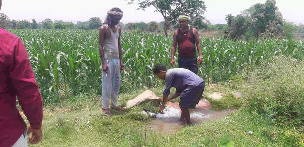 360407-kushal-kisan-18-scaled