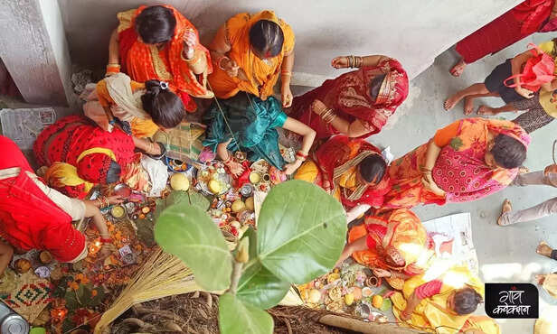 359885-vat-savitri-vrat-bargad-ped-banyan-tree-nature-festivals-vat-vriksh-9