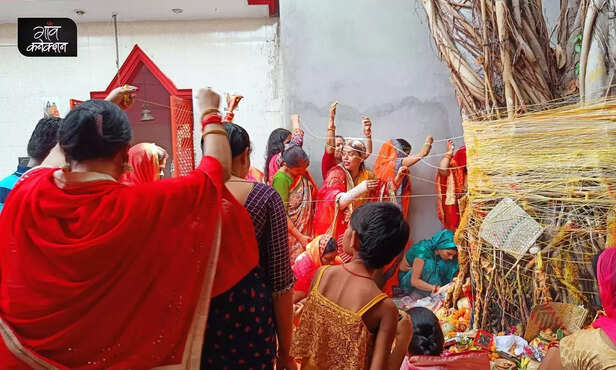 359887-vat-savitri-vrat-bargad-ped-banyan-tree-nature-festivals-vat-vriksh-1